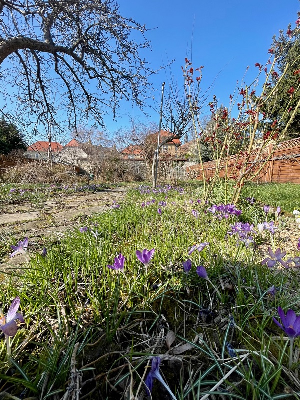 Bernburg, Salzlandkreis, Sachsen-Anhalt, Deutschland 06406, 4 Rooms Rooms,Einfamilienhaus,Kaufen,1090 Bernburg, Salzlandkreis, Sachsen-Anhalt, Deutschland 06406, 4 Rooms Rooms,Einfamilienhaus,Kaufen,1090