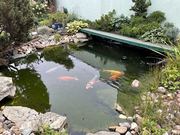 Nienburg, Salzlandkreis, Sachsen-Anhalt, Deutschland 06429, 6 Rooms Rooms,Einfamilienhaus,Kaufen,1136 Nienburg, Salzlandkreis, Sachsen-Anhalt, Deutschland 06429, 6 Rooms Rooms,Einfamilienhaus,Kaufen,1136