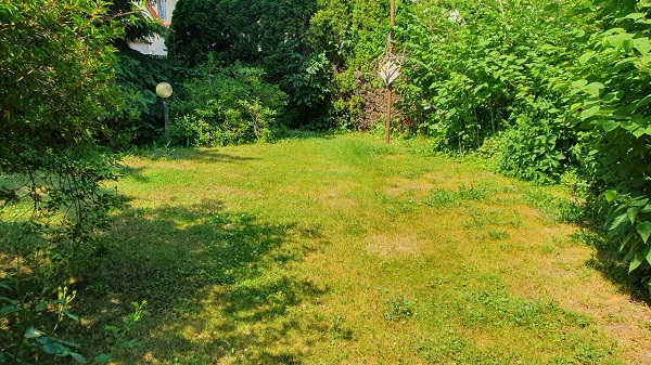 Poley, Salzlandkreis, Sachsen-Anhalt, Deutschland 06406, 5 Rooms Rooms,Einfamilienhaus,Kaufen,1154 Poley, Salzlandkreis, Sachsen-Anhalt, Deutschland 06406, 5 Rooms Rooms,Einfamilienhaus,Kaufen,1154