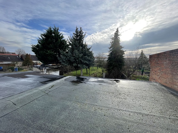 Lebendorf, Salzlandkreis, Sachsen-Anhalt, Deutschland, 5 Rooms Rooms,Einfamilienhaus,Kaufen,1164