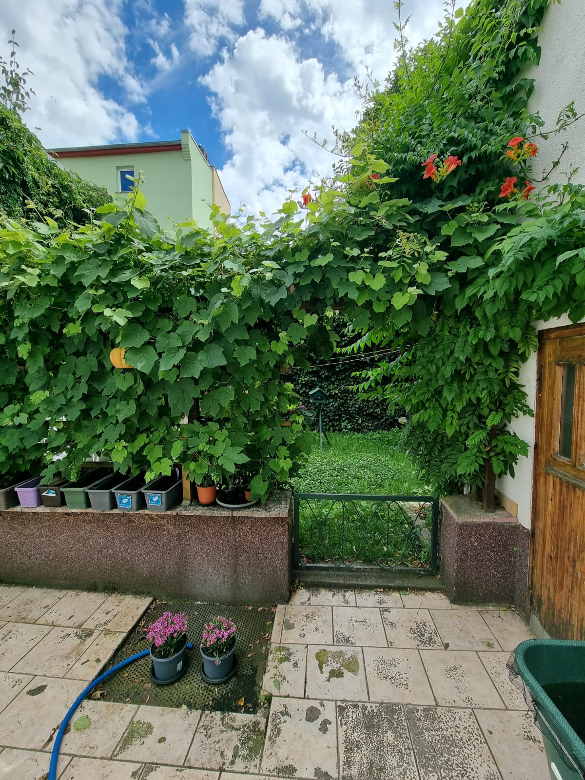 Bernburg, Salzlandkreis, Sachsen-Anhalt, Deutschland 06406, ,Mehrfamilienhaus,Kaufen,1177