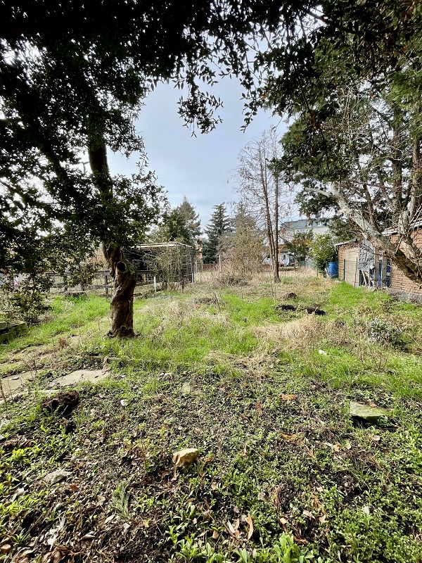 Bernburg, Salzlandkreis, Sachsen-Anhalt, Deutschland 06406, ,Mehrfamilienhaus,Kaufen,1178 Bernburg, Salzlandkreis, Sachsen-Anhalt, Deutschland 06406, ,Mehrfamilienhaus,Kaufen,1178