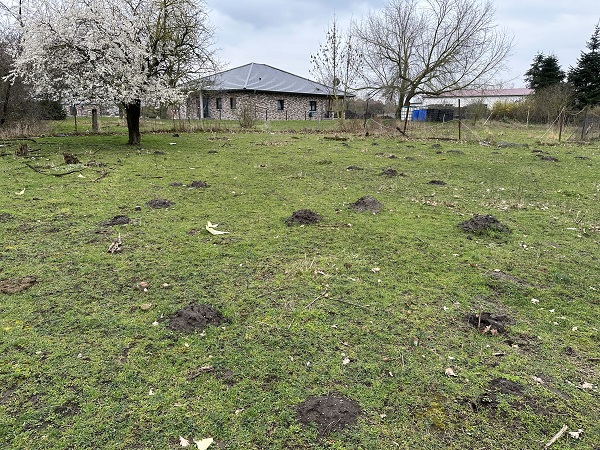 Bernburg OT Peißen, Salzlandkreis, Sachsen-Anhalt, Deutschland, ,Grundstück,Kaufen,1185