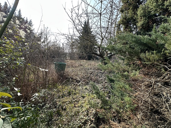 Bernburg, Salzlandkreis, Sachsen-Anhalt, Deutschland, 3 Rooms Rooms,Einfamilienhaus,Kaufen,1210 Bernburg, Salzlandkreis, Sachsen-Anhalt, Deutschland, 3 Rooms Rooms,Einfamilienhaus,Kaufen,1210