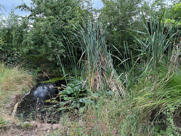 Könnern, Salzlandkreis, Sachsen-Anhalt, Deutschland 06420, 2 Rooms Rooms,Grundstück,Kaufen,1212