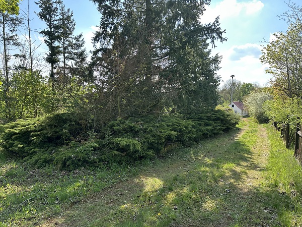 Könnern, Salzlandkreis, Sachsen-Anhalt, Deutschland 06420, 2 Rooms Rooms,Grundstück,Kaufen,1212