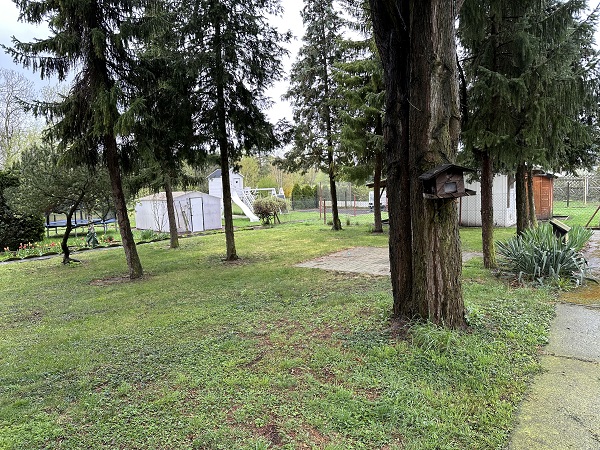 Cörmigk, Salzlandkreis, Sachsen-Anhalt, Deutschland 06420, 5 Rooms Rooms,Einfamilienhaus,Kaufen,1215