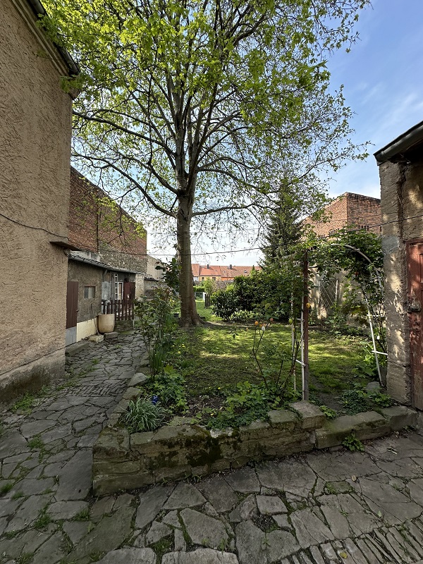 Bernburg, Salzlandkreis, Sachsen-Anhalt, Deutschland 06406, 11 Rooms Rooms,Mehrfamilienhaus,Kaufen,1218