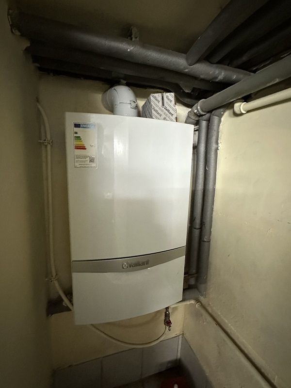 Güsten, Salzlandkreis, Sachsen-Anhalt, Deutschland 39439, 3 Rooms Rooms,Einfamilienhaus,Kaufen,1223