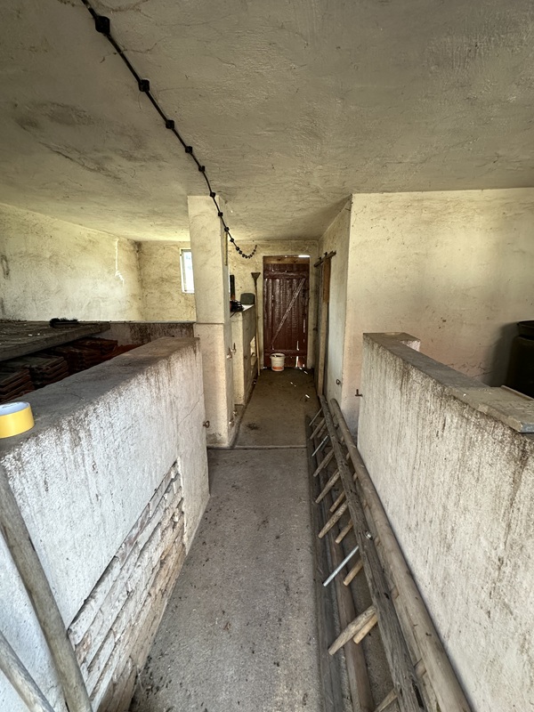 Gerlebogk, Salzlandkreis, Sachsen-Anhalt, Deutschland, 4 Rooms Rooms,Doppelhaushälfte,Kaufen,1234