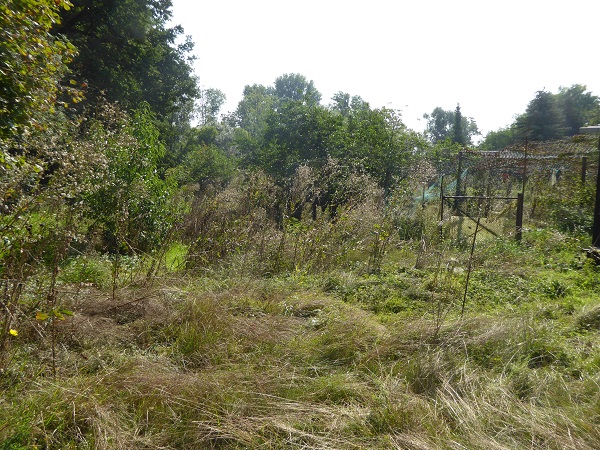 Biendorf, Salzlandkreis, Sachsen-Anhalt, Deutschland, 4 Rooms Rooms,Einfamilienhaus,Kaufen,1082